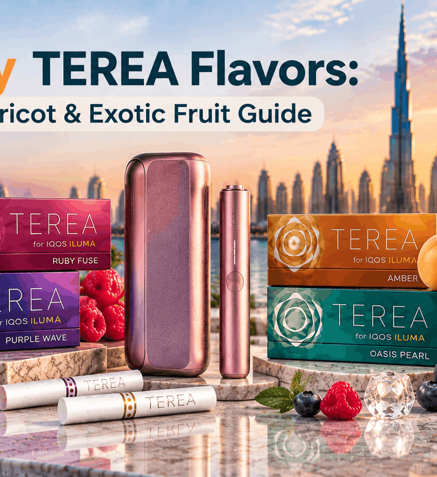 Fruity TEREA flavor guide featuring berry, apricot, and exotic fruit-inspired TEREA variants with IQOS ILUMA device in a premium Dubai skyline setting.