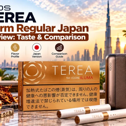 IQOS TEREA Warm Regular Japan Review: Taste, Flavor & Comparison
